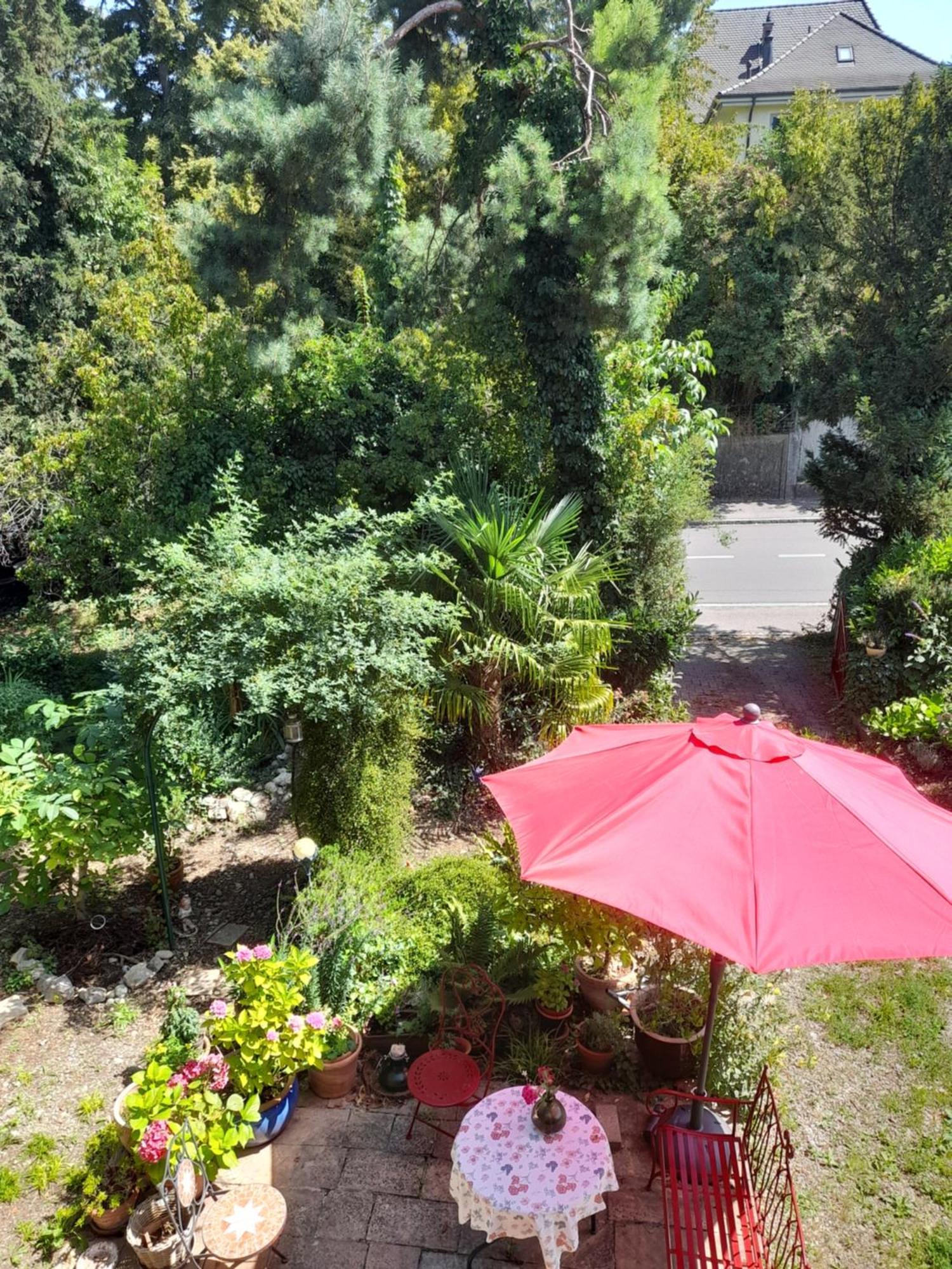 B&B Am Park Rheinfelden Exterior photo